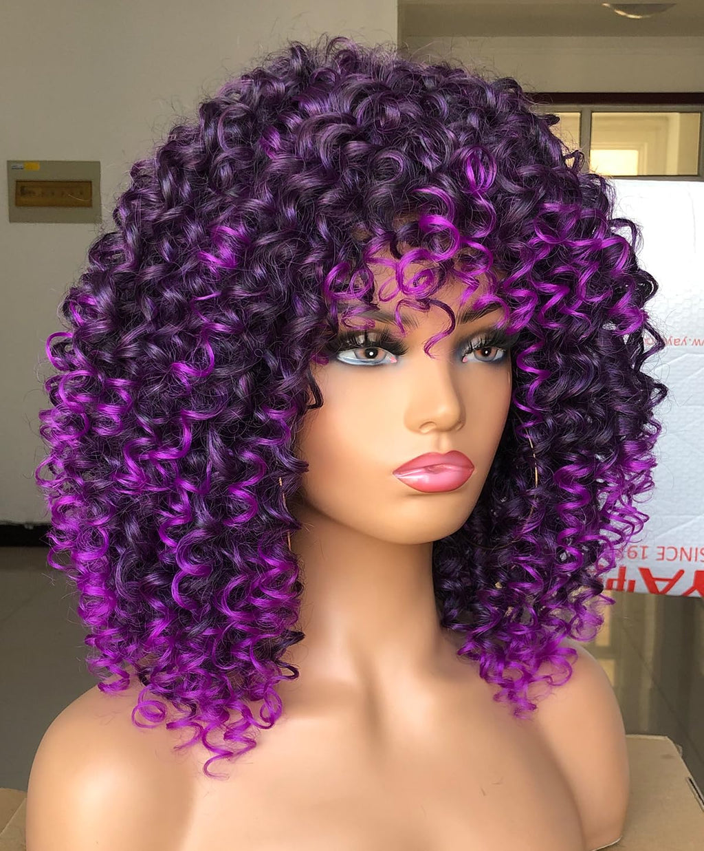 Curly Afro Wigs for Black Women Kinky Curly Wig with Bangs Synthetic Fiber Natural Looking Glueless Hair for Daily Wear