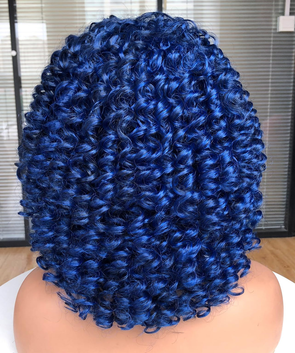 Curly Afro Wigs for Black Women Kinky Curly Wig with Bangs Synthetic Fiber Natural Looking Glueless Hair for Daily Wear