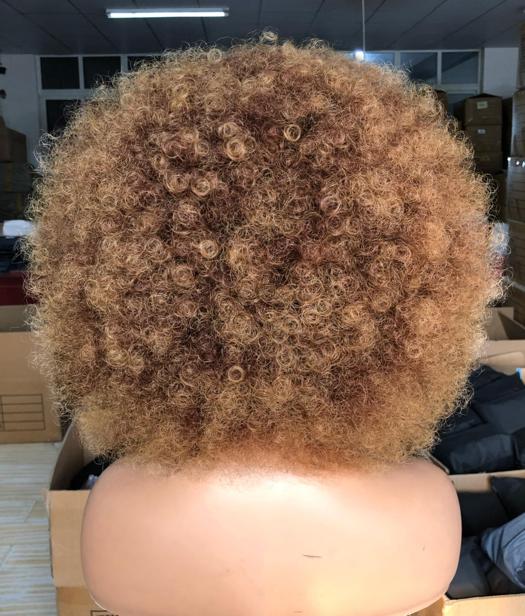 Curly Afro Wigs for Black Women Kinky Curly Wig with Bangs Synthetic Fiber Natural Looking Glueless Hair for Daily Wear